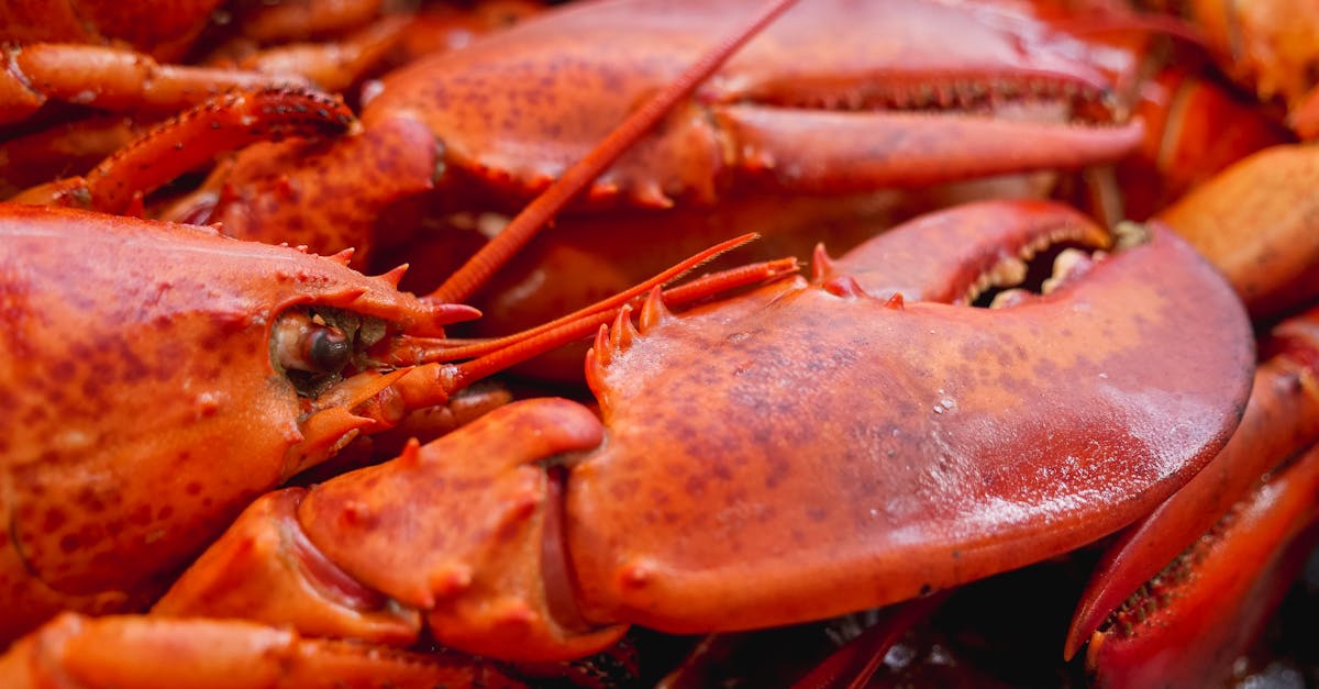 10 Amazing Health Benefits of Eating Frozen Lobster