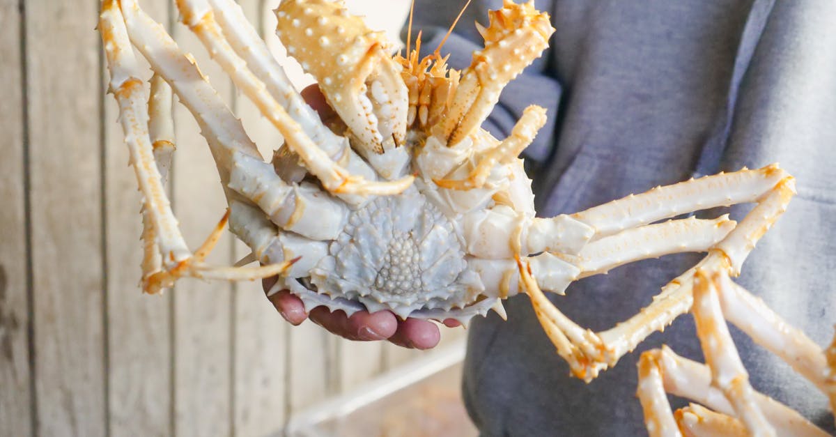 10 Best Practices for Sourcing Quality Frozen Lobster