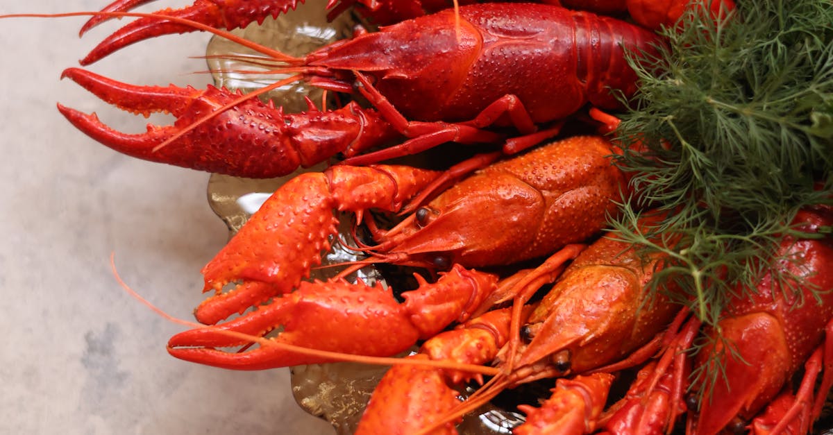 10 Health Benefits of Eating Frozen Lobster