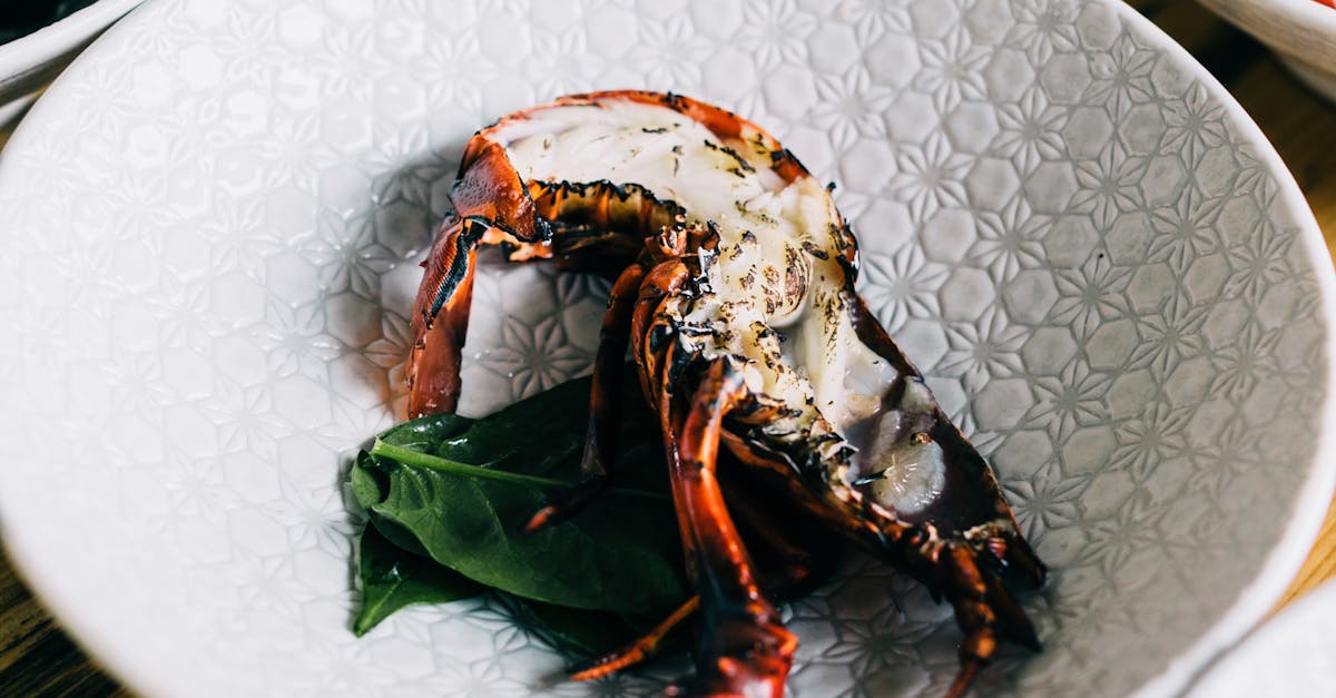 10 Tips for Choosing Quality Frozen Lobster