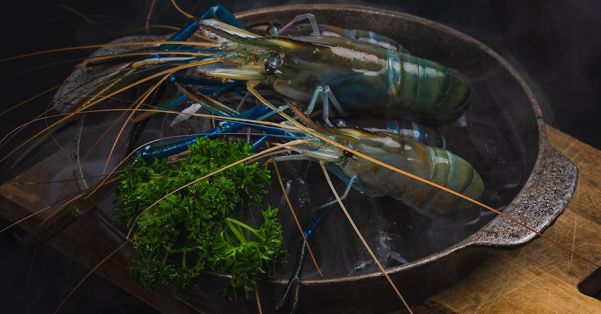 How to Properly Thaw Frozen Lobster